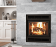 Soap Stone Fireplace Insert Fresh Wood Archives — Vaglio