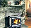 Soapstone Fireplace Inserts Luxury Woodstove Mantel – Fineingre Nts
