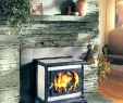 Soapstone Fireplace Inserts Luxury Woodstove Mantel – Fineingre Nts