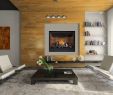 Spokane Fireplace Luxury Fireplace Inserts Napoleon Electric Fireplace Inserts