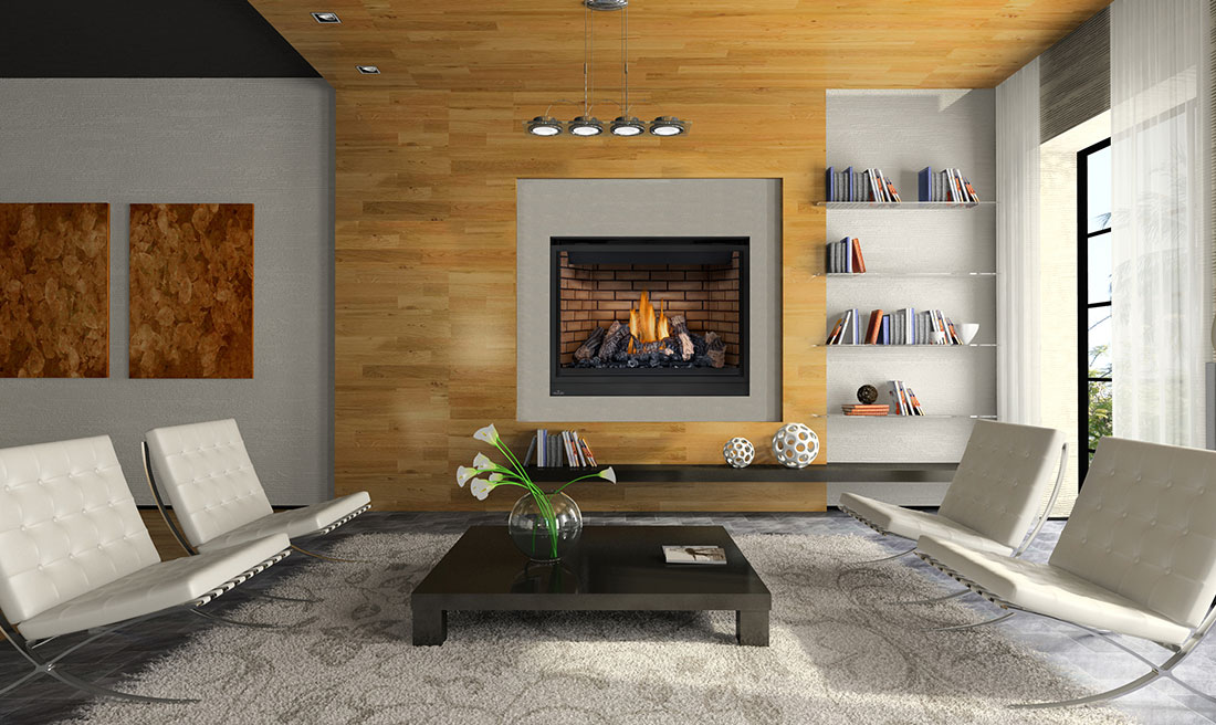 Fireplace Inserts Napoleon Electric Fireplace Inserts Cressy Door Fireplace Inserts By Napoleon