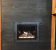 Stoll Fireplace Doors Fresh 4 Panel Great Room Fireplace In 2019