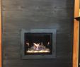 Stoll Fireplace Doors Fresh 4 Panel Great Room Fireplace In 2019