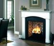 Stone Fireplace Surround Kit Luxury Home Depot Fireplace Surrounds – Daily Tmeals