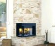 Superior Fireplace Insert Fresh Modern Wood Burning Fireplace Inserts Fireplaces