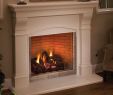 Superior Fireplace Insert Lovely Aries Fireplace Library