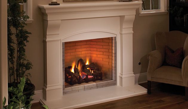 Superior Fireplace Inserts Unique Aries Fireplace Library