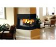 Superior Wood Burning Fireplace Best Of Indoor Wood Burning Fireplace Superior Peninsula Wood