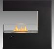 Tabletop Ethanol Fireplace Elegant Eco Feu Paramount 3 Sided Free Standing Built In Ethanol