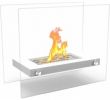 Tabletop Ethanol Fireplace Fresh New Deal Alert Regal Flame Monrow Ventless Tabletop