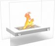 Tabletop Ethanol Fireplace Fresh New Deal Alert Regal Flame Monrow Ventless Tabletop
