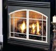 Thin Gas Fireplace Best Of Gas Kamin Reparatur Reno Gaskamin