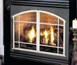 Thin Gas Fireplace Best Of Gas Kamin Reparatur Reno Gaskamin
