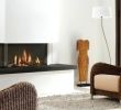 Three Sided Gas Fireplace Lovely Three Sided Gas Fireplace Three Sided Gas Fireplace Double