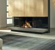 Three Sided Gas Fireplace New Three Sided Gas Fireplace Three Sided Gas Fireplace Double