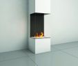 Three Sided Gas Fireplace Unique Modern Fireplace Designs