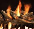 Troubleshooting Gas Fireplace Best Of Gas Kamin Flamme Farbe Gaskamin Gaskamin In 2019