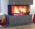 Updating A Fireplace Best Of Lennox Fireplaces Best Brunner Panorama 3 Sided Firebox
