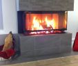 Updating A Fireplace Best Of Lennox Fireplaces Best Brunner Panorama 3 Sided Firebox