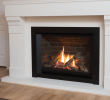 Valor Fireplace Inserts Fresh Valor Fireplace Inserts Charming Fireplace