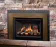 Valor Fireplace Inserts Inspirational Valor Fireplace Inserts Charming Fireplace