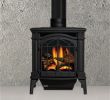 Valor Fireplace Inserts Unique Basic Black Gds25 Gas Stove Stove In 2019