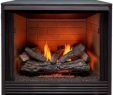Vent Free Gas Fireplace Insert Elegant Gas Fireplace Inserts Fireplace Inserts the Home Depot