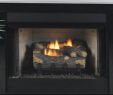 Vent Free Gas Fireplace Insert Luxury Fireplaces & More Vent Free