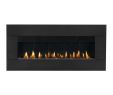 Vent Free Gas Fireplace Insert with Logs Lovely Napoleon Plazmafire 48 Direct Vent Fireplace