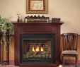 Vented Fireplace Insert Beautiful Empire Deluxe Tahoe Direct Vent Lp Fireplace Ip Blower 32
