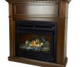 Vented Propane Fireplace Unique Pleasant Hearth Vff Ph26ng Btu 42 Inch Wide Built In