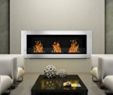 Ventless Electric Fireplace Awesome Elite Flame Linox Ventless Bio Ethanol Fireplace