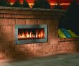 Ventless Fireplace Insert Awesome Firegear Od 42 Outdoor Ventless Fireplace