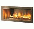 Ventless Fireplace Insert Luxury Firegear Outdoor Linear Fireplace with 2″ Faceplate – Od42 N