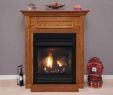 Ventless Fireplace Inserts Luxury Corner Gas Fireplace Ideas Inspirational Standalone