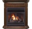 Ventless Fireplace Lovely Vent Free Natural Gas Propane Fireplace
