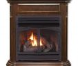 Ventless Fireplace Lovely Vent Free Natural Gas Propane Fireplace