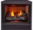 Ventless Gas Fireplace Insert New Gas Fireplace Inserts Fireplace Inserts the Home Depot