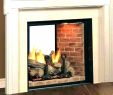 Ventless Gas Fireplace Insert with Blower Elegant Wood Fireplace Inserts with Blowers – Detoxhojefo