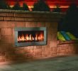 Ventless Gas Fireplace Insert with Blower Unique Firegear Od 42 Outdoor Ventless Fireplace