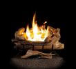 Ventless Gas Fireplace Logs Lovely American Elm 24 In Vent Free Propane Gas Fireplace Logs