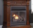 Ventless Gas Fireplace New Vent Free Natural Gas Propane Fireplace