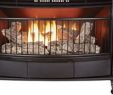 Ventless Gas Fireplace Safety Best Of Ventless Gas Fireplace Pro Dual Fuel Stove Btu