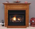 Ventless Gas Fireplace with Mantel Luxury Ventless Indoor Gas Fireplace Fireplace Design Ideas