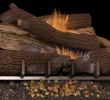 Ventless Natural Gas Fireplace Beautiful Mnf24 Od 24" F2124 F2100a F2100b