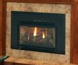 Ventless Propane Fireplace Fresh Propane Fireplace Insert with Blower – Clubhousebog