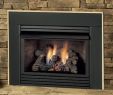 Ventless Propane Fireplace Unique Propane Gas Fireplace Insert