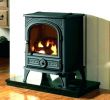 Victorian Fireplace Insert Unique Generator Gas Tank Extender – Petgeek