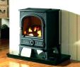 Victorian Fireplace Insert Unique Generator Gas Tank Extender – Petgeek