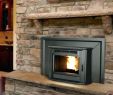 Victorian Gas Fireplace Insert New Wood Stove Styles – Blueoceantrading